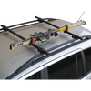 Skiträger Ski Rack
