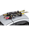 Magnet Skiträger Himalaya