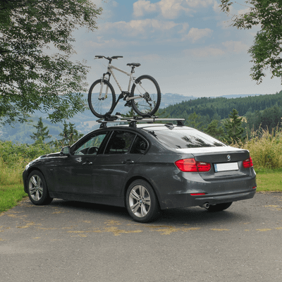 Dachfahrradträger ProRide 598