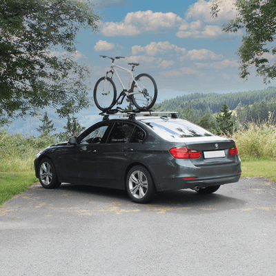 Dachfahrradträger ProRide 598